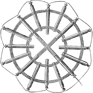 Herzlich Willkommen, Anne-Sophie Treiber!